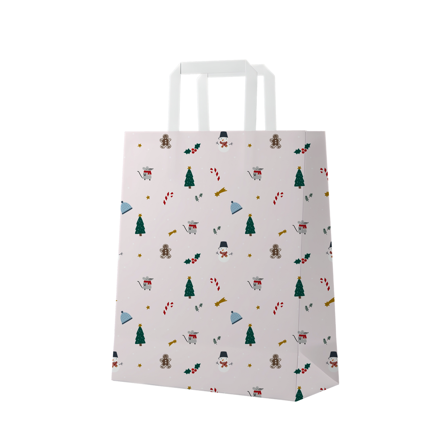 Bolsa Grande x1