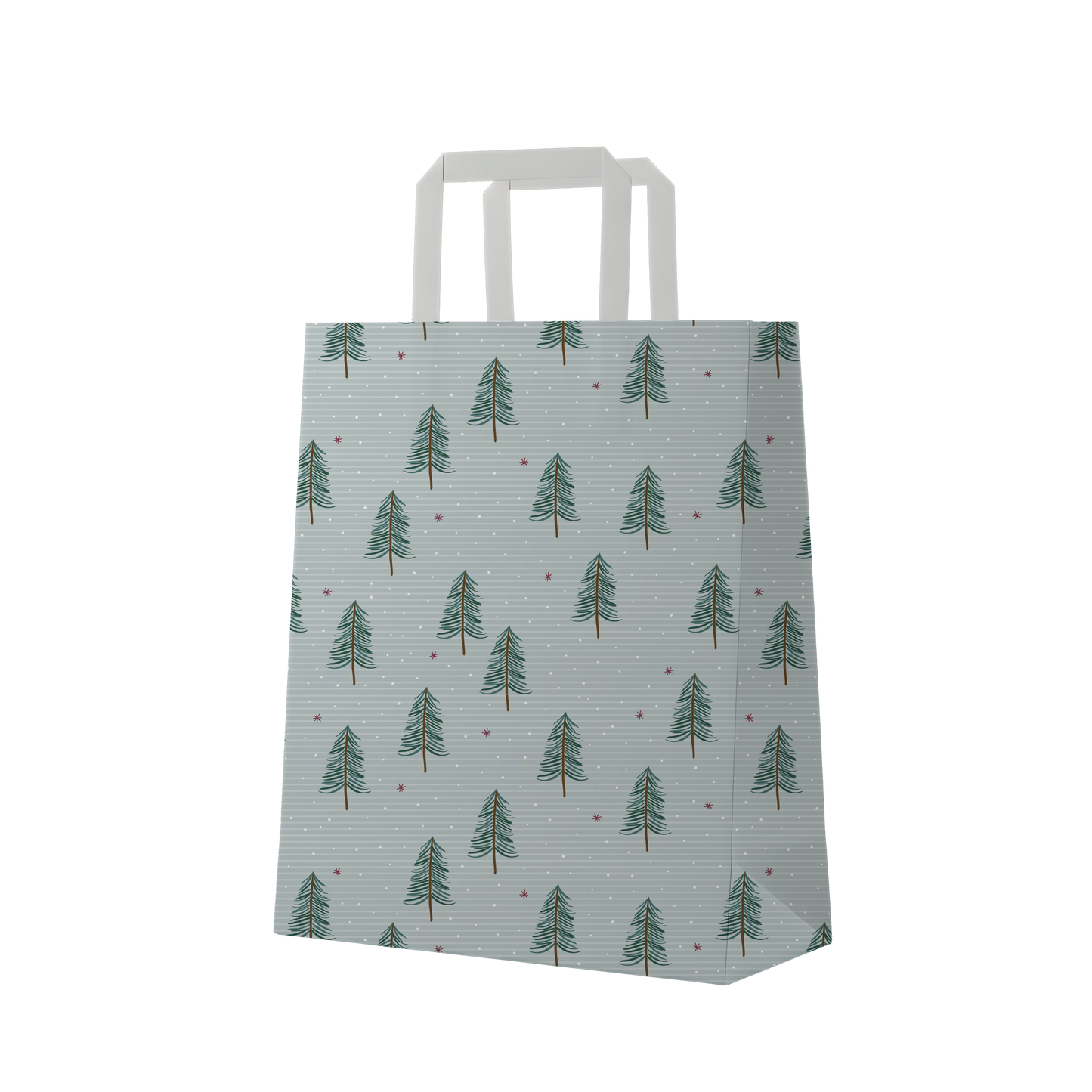 Bolsa Grande x1