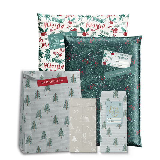 Pack Mix Envelopes * Holly Christmas