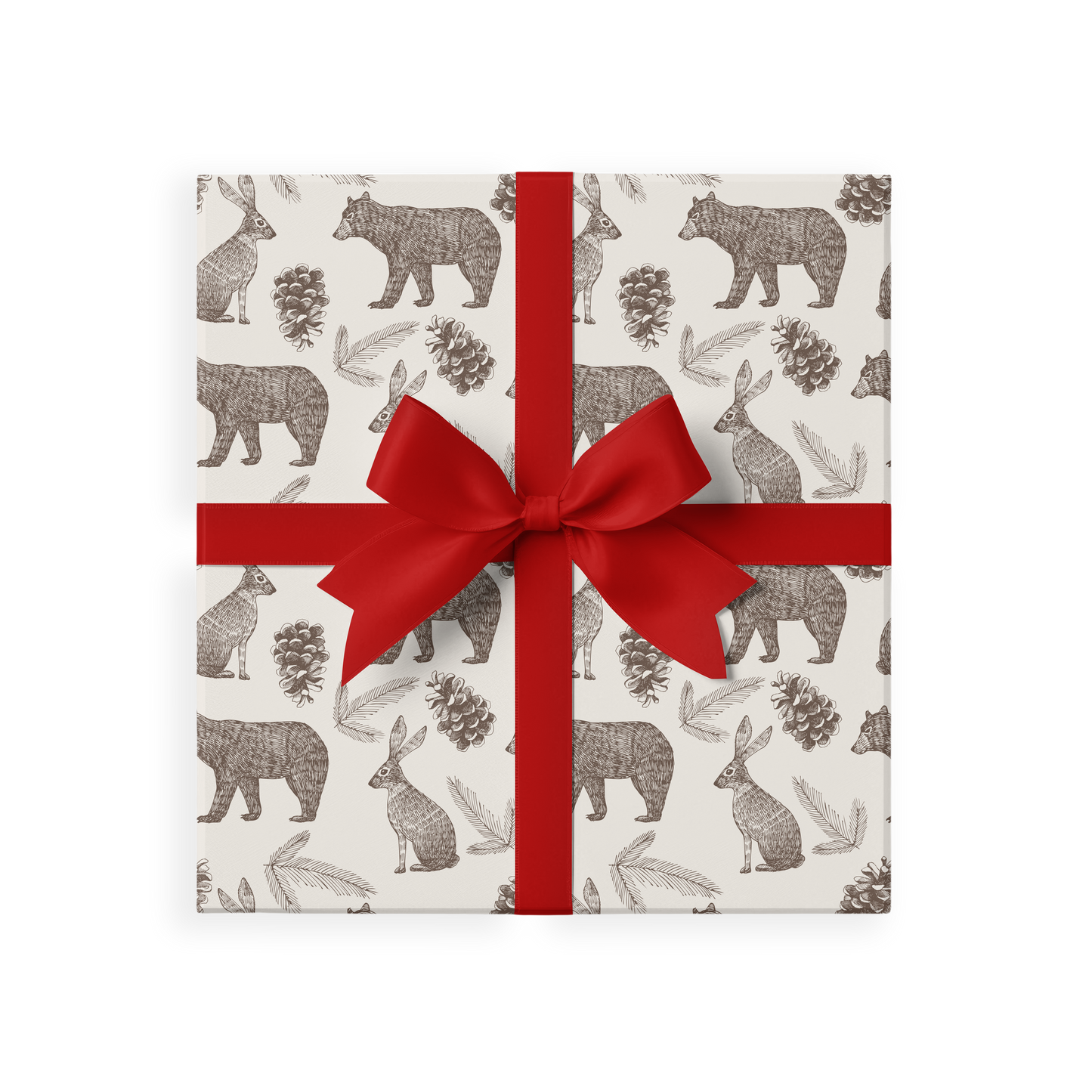 Papers * Bears & Red Stripes