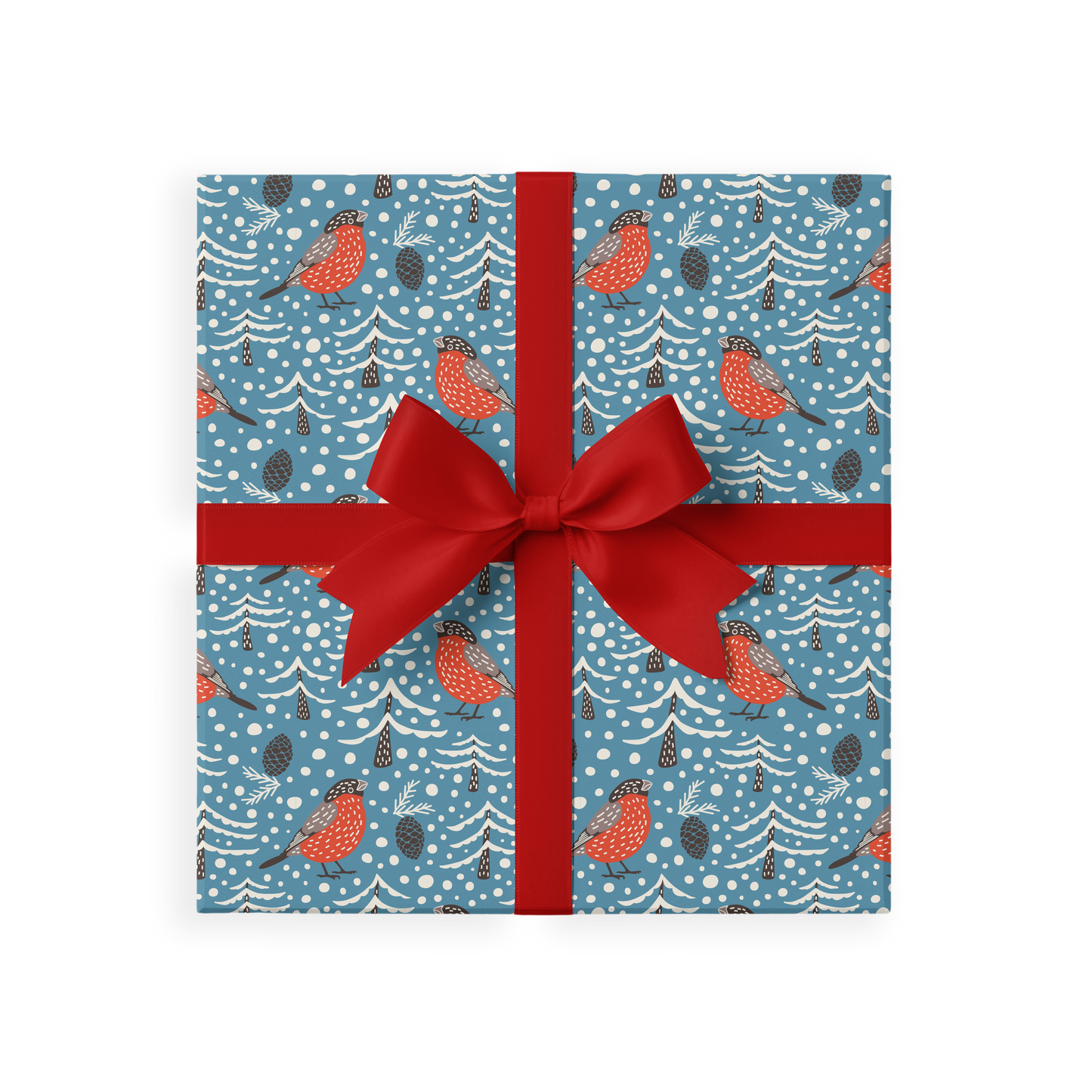 Papers * Robins & Light Blue Stripes