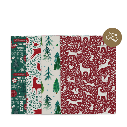By Size Envelopes * Red & Green Christmas