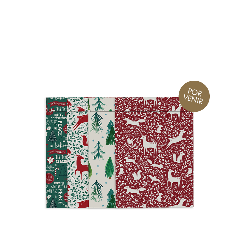 By Size Envelopes * Red & Green Christmas