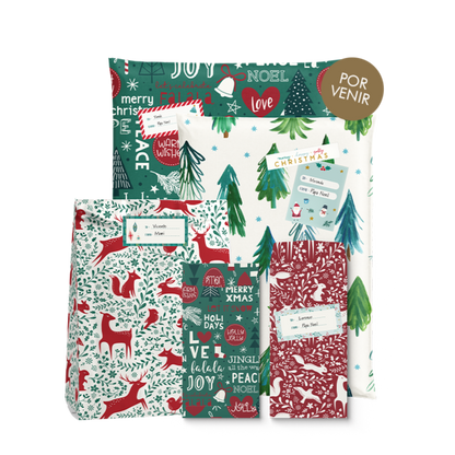 Mix Envelopes * Red & Green Christmas